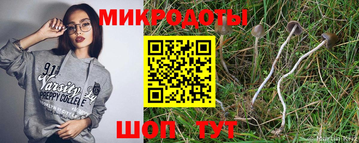 Псилоцибиновые грибы Cubensis Гурьевск